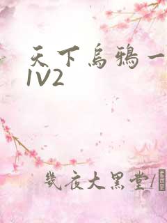 天下乌鸦一般黑1V2