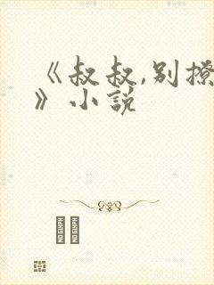 《叔叔,别撩我》小说