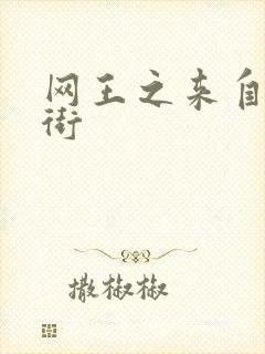 网王之来自流星街