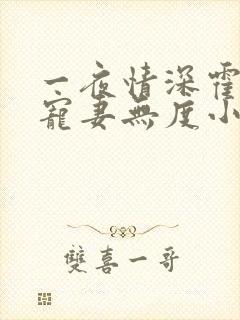 一夜情深霍先生宠妻无度小说免费阅读