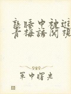 熟睡中被进了H青梅诱哄视频