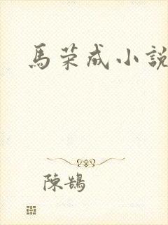 马荣成小说