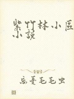 紫竹林小区快递小说