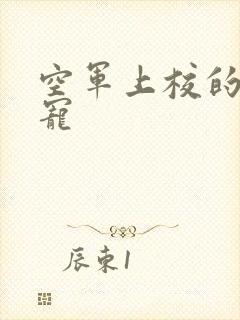 空军上校的邪魅宠