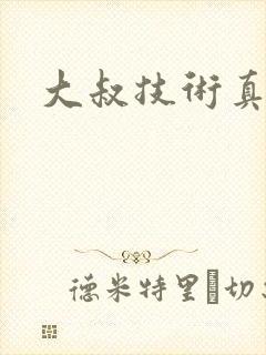 大叔技术真好