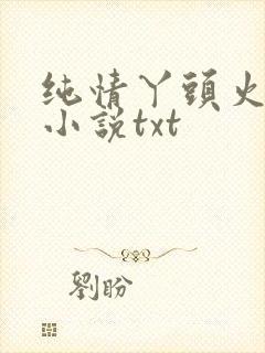 纯情丫头火辣辣小说txt