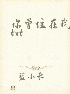 你曾住在我心上txt
