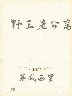 野王老公窝