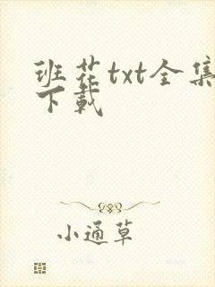 班花txt全集下载