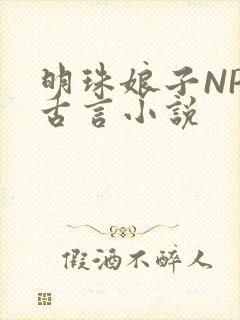明珠娘子NPC古言小说