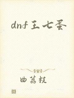 dnf王七蛋