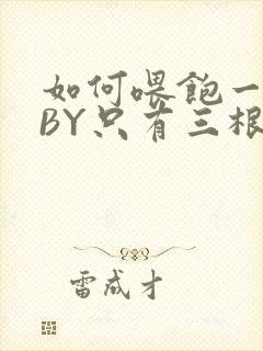 如何喂饱一只猫BY只有三根头发