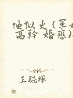 他似火 (军婚 高干 婚恋)全文在线阅读