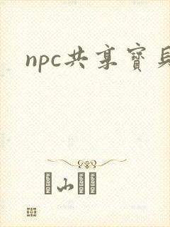 npc共享宝贝
