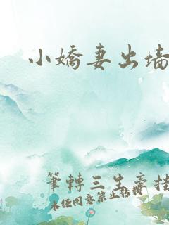小娇妻出墙记