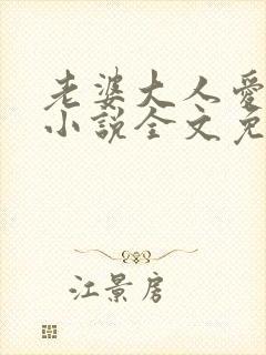 老婆大人爱上我小说全文免费阅读