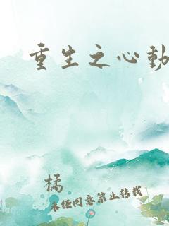重生之心动起点