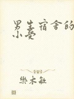 男生宿舍的公共小受