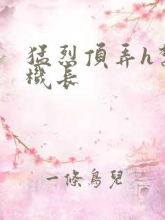 猛烈顶弄h禁欲机长