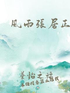 风雨张居正下载