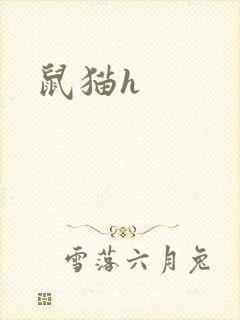 鼠猫h
