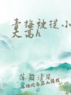 青梅被从小玩到大高h
