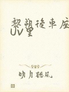 黎朔后车座上SUV里