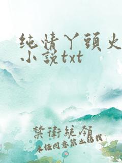 纯情丫头火辣辣小说txt