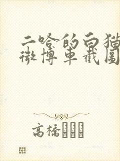 二哈的白猫师尊微博车截图