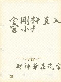 金刚杵直入莲花宫小f