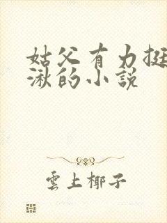 姑父有力挺送徐湫的小说