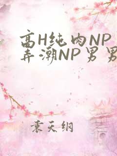 高H纯肉NP 弄潮NP男男