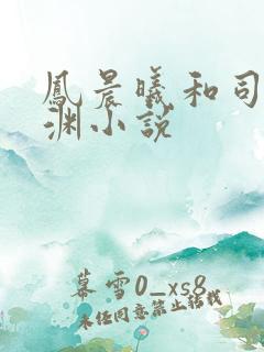 凤晨曦和司鸿颜渊小说