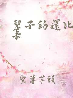 儿子的还比老公长