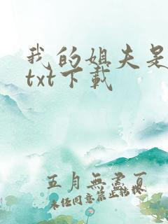 我的姐夫是太子txt下载