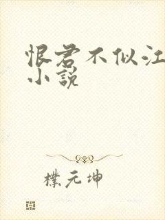 恨君不似江楼月小说