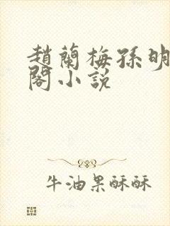 赵兰梅孙明笔趣阁小说