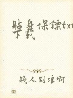 贴身保镖txt下载