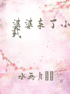 婆婆来了小说下载