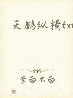 天鹏纵横txt