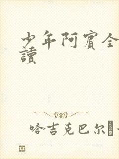 少年阿宾全集阅读
