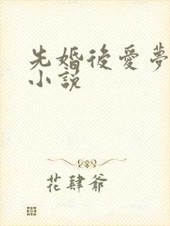 先婚后爱梦筱二小说