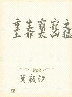 重生霸宠之摄政王爷太凶猛