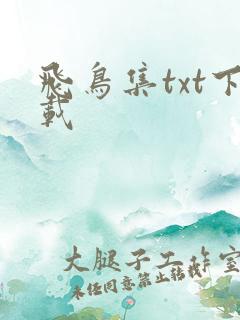 飞鸟集txt下载