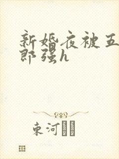 新婚夜被五个伴郎强h