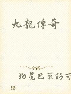 九龙传奇