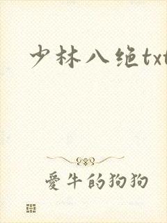 少林八绝txt
