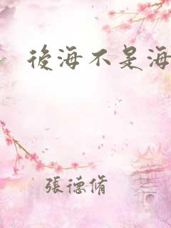 后海不是海小说
