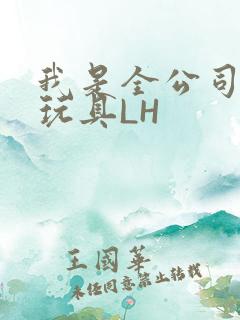 我是全公司发泄玩具LH