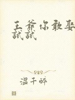 王爷你敢娶小三试试